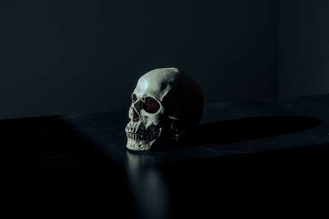 Tête de mort
