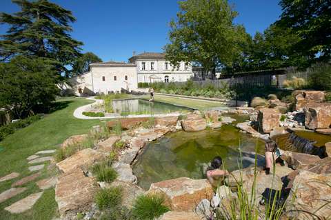 Sans produits chimiques, cette piscine est purifiée grâce aux plantes.