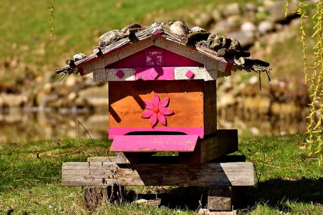 Tout le monde possède une maison, même les animaux !