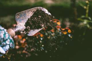 Ne prenez pas un terreau classique pour vos plantes sur un balcon