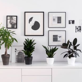 Décoration en noir et blanc