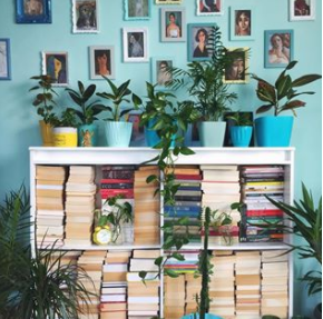 Déco jungle