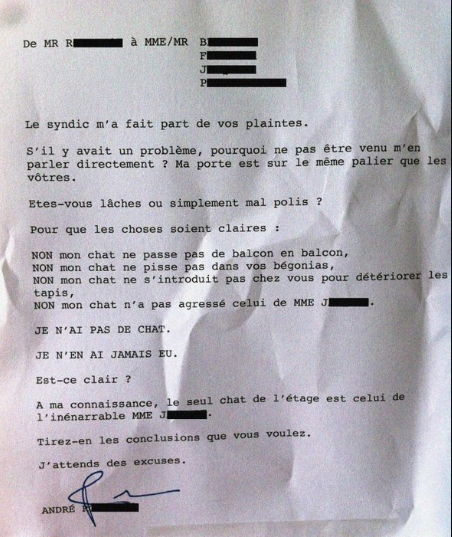 Un chat en appartement